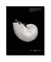 Anne Geddes Photofolio: Black & White