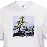 Trees - Bonsai Tree - T-Shirts