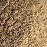 Indus Organic Nutmeg Powder Spice 1 Lb