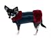 Chic Fur Leather Dog Coat (Size 14, black leather with red sheared Canadian beaver)