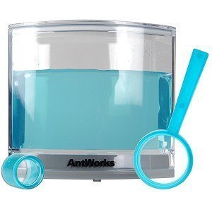 Buy Now at Amazon.com: Fascinations ANTW2 Antworks Illuminated