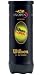 Wilson US Open Regular Duty(Cans 1X), Tennis, Balls, Racquets Sports Accessories
