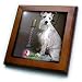 White Schnauzer - 8x8 Framed Tile