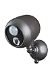 Mr Beams Outdoor Spotlight