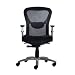 Savant - Midback Ergonomic Mesh Chair (Black Fabric)