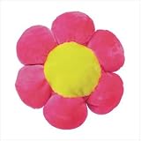 Review NetGift  / Big Flower Cushion