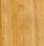 Birch Veneer, Red, Flat Cut, 4 x 8, 10 Mil Backer