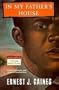 In My Father's House (Vintage Contemporaries)
