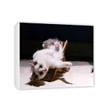 Cat flap - Canvas - Medium - 30x45cm