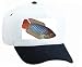 White Cap with fish, dvarggurami, aquarium, animal
