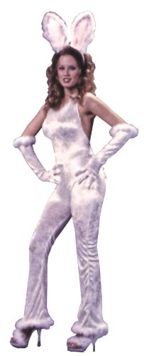 Sexy Bunny Velvet Costume