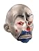 Search : Joker Clown Mask Adult