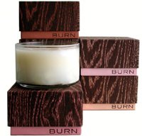 BURN Fig Leaf Candle