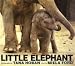 Little Elephant