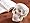 gesichtsmodel.com - Sch�del Model anatomie Kiefer beweglich