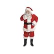Professional Santa Suit Adult - Strd