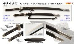 Authentisch Japanisch Katana Schwert Kenjitsu Praxis Iai-Serie: Yagyu Double Sword Set