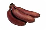 Red Banana - Avg 20 Lb Case