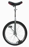12 inch Chrome Unicycle by Sun