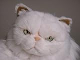 White Persian, Lying Down - Lifelike Plush|One Size - 24 inches