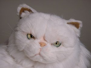 image link - - B0006FJCDK