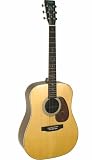 Johnson Carolina Series I Acoustic Guitar Rosewood Back and Sides - includes FREE hardshell case ($99 value) - LIMITED TIME ONLY!