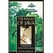 The Magus of Java: Teachings of an Authentic Taoist Immortal
