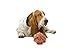 SafeGadgets New Multicolor & Multi Knots Rope Pet Toy Ball, Large. 100% natural & Free from Toxin.