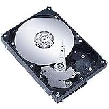 250GB 7200 RPM SATA NCQ HD