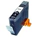 Canon BCI-6bk Black Ink Cartridge