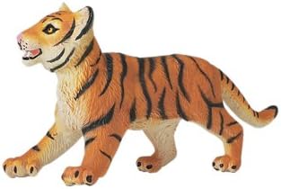 Siberian Tiger Cub Walking, Vanishing Wild