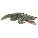 Folkmanis Alligator Puppet