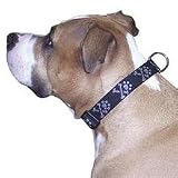 Lupine Large Dog Collar - Ruby Cube 18-31