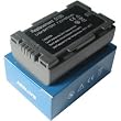 PANASONIC CGR-D120 Battery 1,000mAh by Pexell