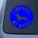TRIP OVER MY WIENER - Dog Dachshund - Vinyl Decal Sticker #1566 | Vinyl Color: Blue