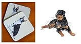 Rottweiler Beverage Coaster Set