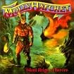 Silent Reign of Heroes