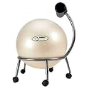 FitBall Exercise Ball Chair - with Choice of 55cm Ball