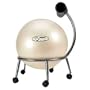 FitBall Exercise Ball Chair - with Choice of 55cm Ball
