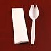 Plastic Spork and Napkin Kit 1000 / CS
