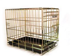 Gold Dog Crate -Gold