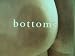 Search : Bottoms