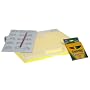 Crayola: Fashion Designer Light-Up Tracing Desk