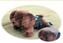 チャングンソク 公式グッズ ☆ チャン・グンソク子犬ぬいぐるみ スニ (mini size suni)