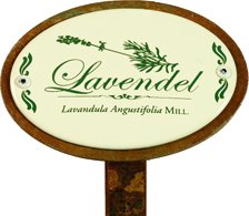KRAEUTERSCHILD LAVENDEL 30CM3569007