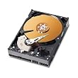 Western Digital WD800JBDTL Caviar SE 80 GB ATA-100 Internal Hard Drive