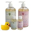 Cain & Able Lavender Conditioning Shampoo, 16 Ounce