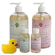 Cain & Able Lavender Conditioning Shampoo, 16 Ounces