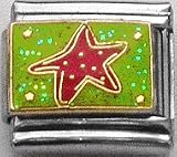 Clearly Charming Starfish Water Marine Animal Theme Italian Charm