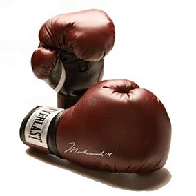 Everlast Ali Classic 14 oz Boxing Glove - Mens